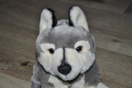 pluszak maskotka pies husky Nature Planet śliczny