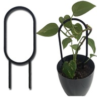 Podpórka Podpora Do Roślin Doniczkowych Okręgi Pergola Drabinka 29cm