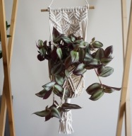 Kwietnik 4, makrama na kwiaty.Boho.Handmade.WIELE KOLORÓW
