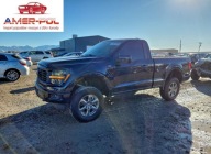 Ford F150 XL 2024 5.0 Benzyna 400KM