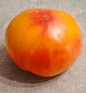 Pomidor Old German (157) nasiona kolekcjonerskie