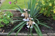 Sid zrobiony na szydełku