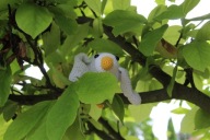 Mała Gąska na szydełku