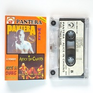 Pantera - Walk / Alice In Chains - Them Bones