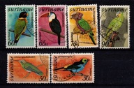 Surinam ( Fauna - ptaki )