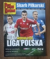 SKARB KIBICA LIGA POLSKA WIOSNA 2014 BIBLIOTECZKA PIŁKI NOŻNEJ