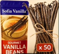 WANILIA LASKI 50 SZT XL - 14-15 cm Laska Wanilii ŚWIEŻE, WILGOTNE LASKI