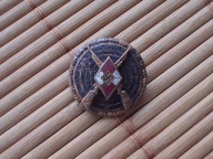 Odznaka Strzelecka HJ dla Strzelców Wyborowych