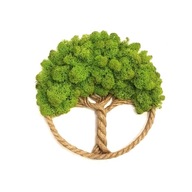 Drzewko Szczęścia Chrobotek, żywy obraz handmade, dekoracja na ścianę