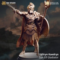 Sun Elf Gladiator Vilryn - DM Stash - figurka RPG DnD D&D - druk 3D 14K