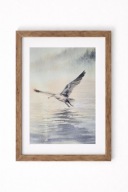 Akwarela „Mewa o poranku” – obraz z autorskiej serii ptaków 23x31 oryginał