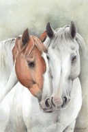 Koń , konie - akwarela z passe - partout