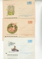 Ssaki-ciekawe koperty ilustrowane