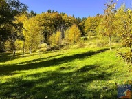 Działka, Laskowa, Limanowski, 7049 m²