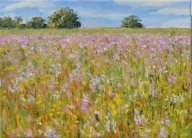 Łąka" obraz olejny na płótnie 30x40cm , oryginał Garncarek Al,,,