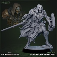 Forgeborn Templars zestaw 1-5 - WI - figurka RPG DnD D&D - druk 3D 14K
