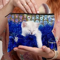 KOSMETYCZKA SASZETKA SZMINKI DROBNE KOSMETYKI ALA PIÓRNIK uroczy kot anime