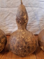 Tykwa Owoc Zdrewniały