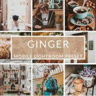 Lightroom PRESET instagram facebook filtry