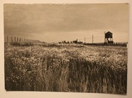MAJDANEK. Hitlerowski obóz zagłady - droga do krematorium NAKŁAD 1000 SZTUK