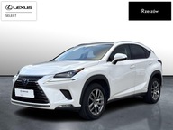 Lexus NX 300h Business Edition AWD I (2014-2021) 3