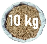 Żyto ziarno zboża od Rolnika - SUPER CZYSTE bez GLIFOSATU - KONSUMPCJA 10kg