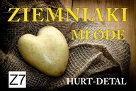 BANER PLANDEKA SPRZEDAŻ ZIEMNIAKÓW ZIEMNIAKI 120X80 Z7