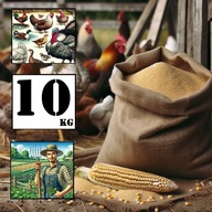 Śruta z kukurydzy GRUBA 10kg - prosto od rolnika