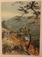 PIENINY - z lewej Sokolica ( 747 m ), CZYSTA, 1966 rok