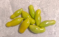 Pomidor Dancing Green Fingers (multiflora) (330) nasiona kolekcjonerskie