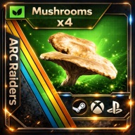4x Grzyb Grzyby ARC Raiders Mushroom Mushrooms ARC Raiders PC/PS5/XBOX