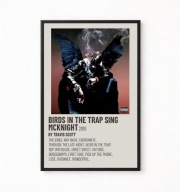 Plakat A4 z ramką TRAVIS SCOTT "BRIDS IN THE TRAP SING MCKNIGHT" 21x29,7cm