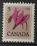 Kanada czysty * 22/20