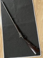 Piękna Dubeltówka czarnoprochowa