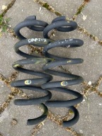 Sprężyny sprężyna tył Renault Symbioz Captur II Lift 550200248R