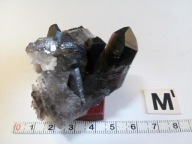 MIN 1917 MORION Arkansas cena 1 sztuki 95 zł