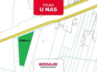 Działka, Albinów, Kotuń, Siedlecki, 9986 m²