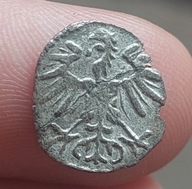 Denar 1553 Wilno, Zygmunt II August R3