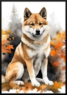 A2 59,4x42 PLAKAT OBRAZ PIES JAPOŃCZYK AKITA, JESIEŃ AKWARELA, DO SALONU...