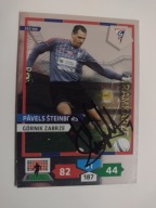 Karta panini autograf Górnik Zabrze sezon 13/14 Pavels Steinbors Bramkarze