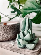 Kaktus Glow – świeca sojowa z drewnianym knotem i kaktusami