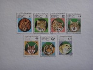 Sahara 1996, Dzikie koty, ssaki, zwierzęta, fauna
