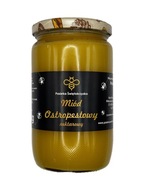 Miód Ostropestowy 1000g 1kg Pasieka Świętokrzyska Polski