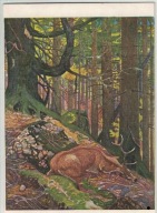 10-ŁW10-Upolowany Jeleń- 1920-30