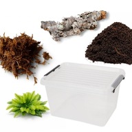 ZESTAW STARTOWY TERRARIUM 2L – PTASZNIK, SKORPION, ŻABA ROGATA