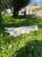 FIGURA BETONOWA OGRODOWA Krokodyl na podstawie