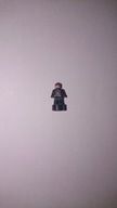 Hermione Granger Statuette Lego 90398pb017 71043