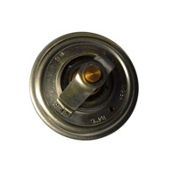 Termostat Landidni Case 895311H1 1446128M91 Polmo