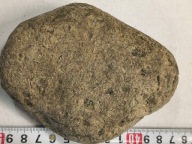 Agat mszysty muszlowy