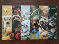 Zakładka do książki Psy Słodkie małe Pieski Urocze Psiaki Sweet Dogs 6 szt